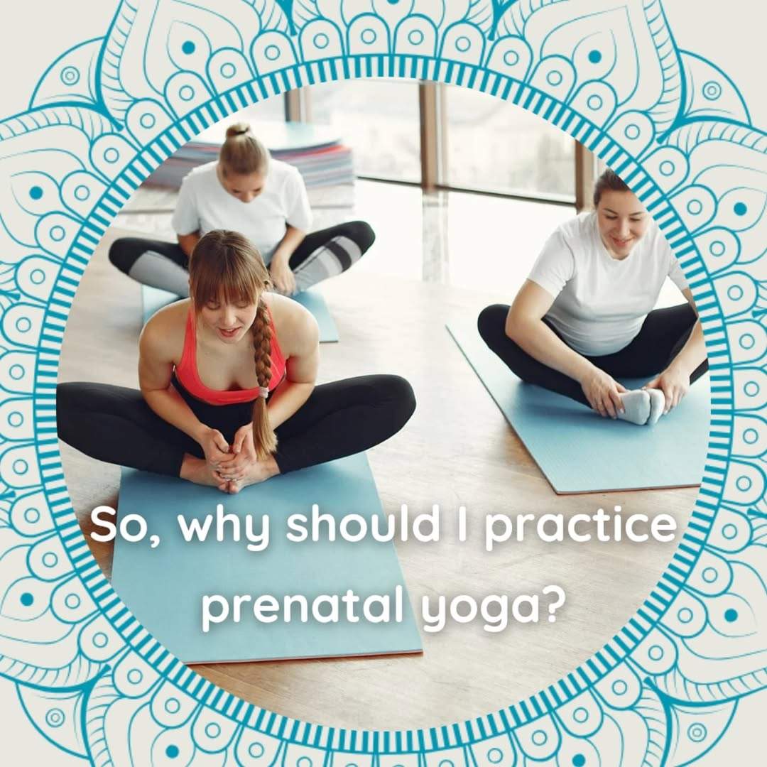 Vinyasa Yoga Class
