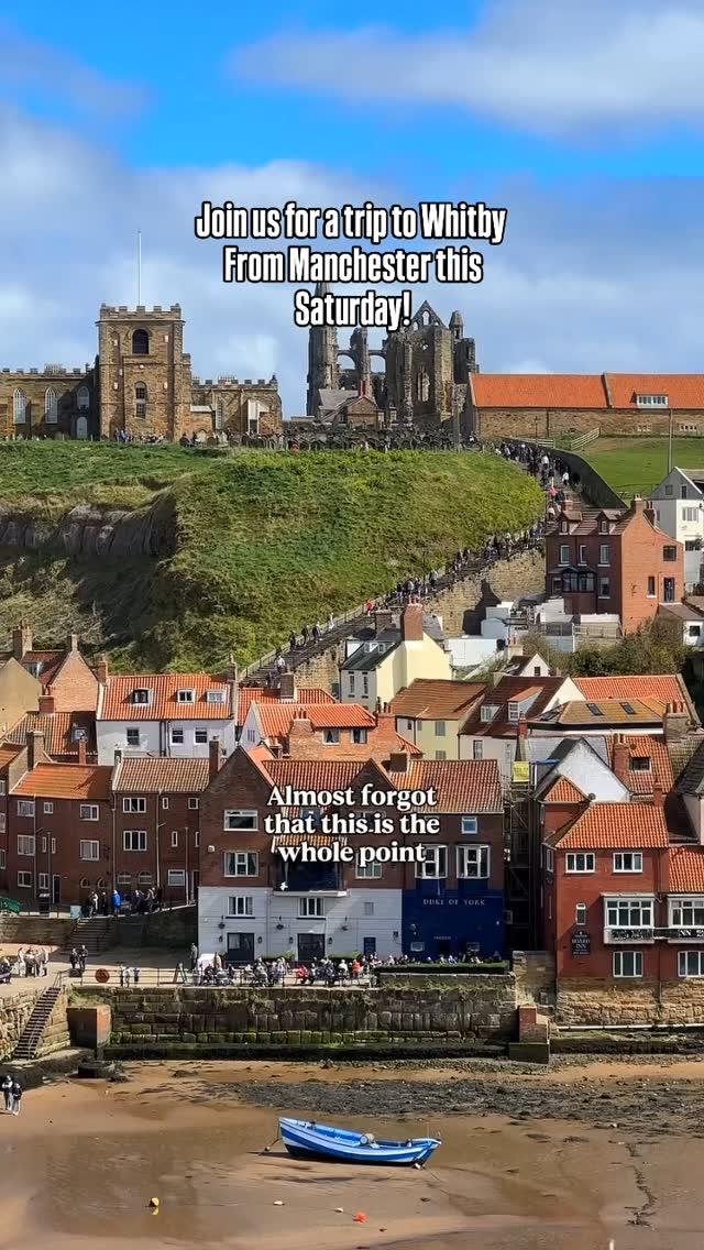 Day Trips & Tours