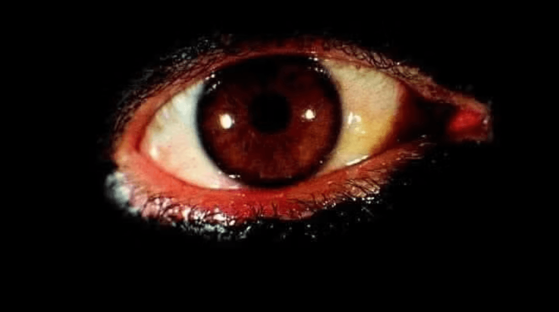 Manchester Art and Cult Cinema Group