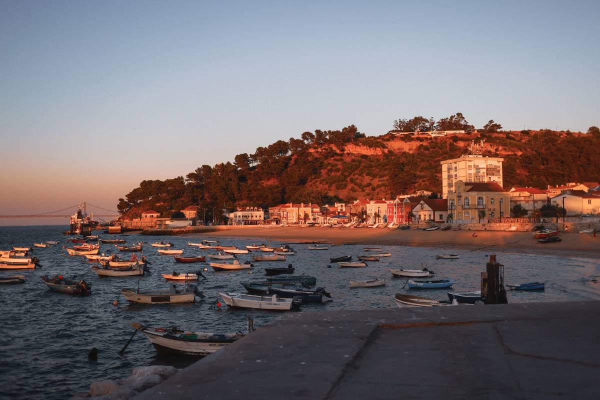 Trafaria na Brasa - Seafood & Fish Market