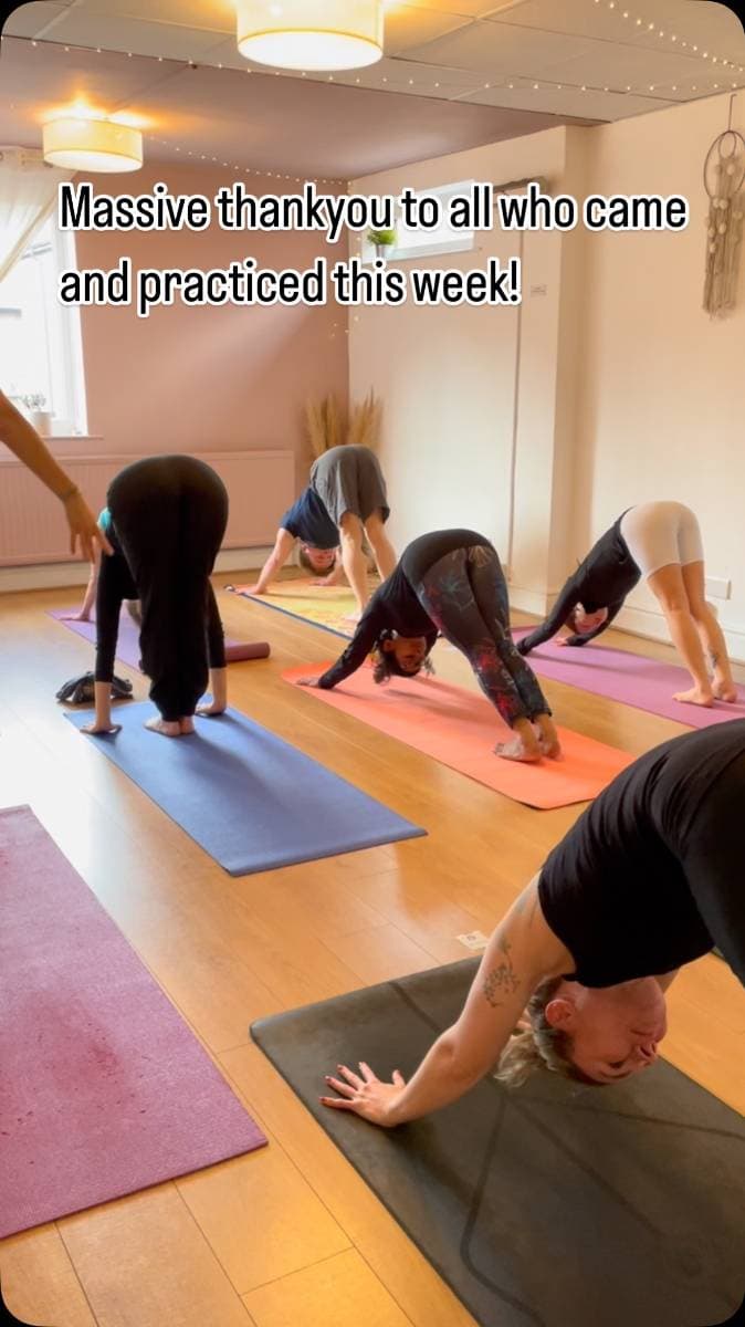 Friday Ashtanga Vinyasa