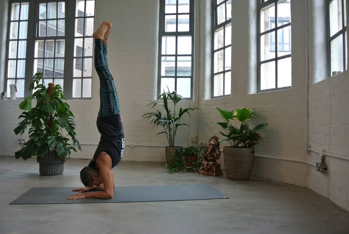 Traditional Mysore-Style Ashtanga Yoga
