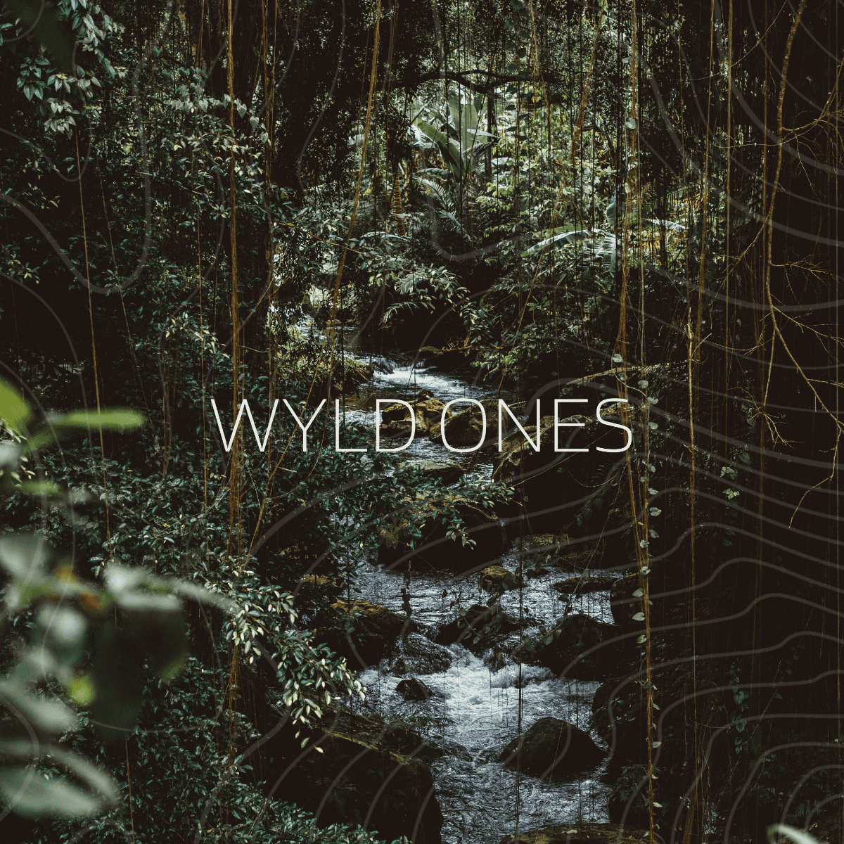 Wyld Ones