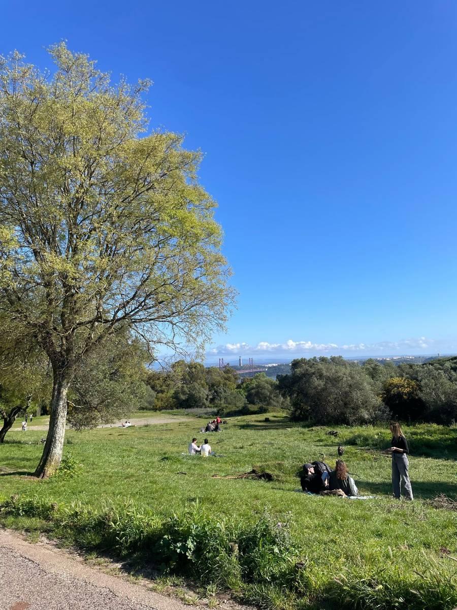 Get to know your city - Walk on Top of Aqueduct + Lunch at Tempo Deli