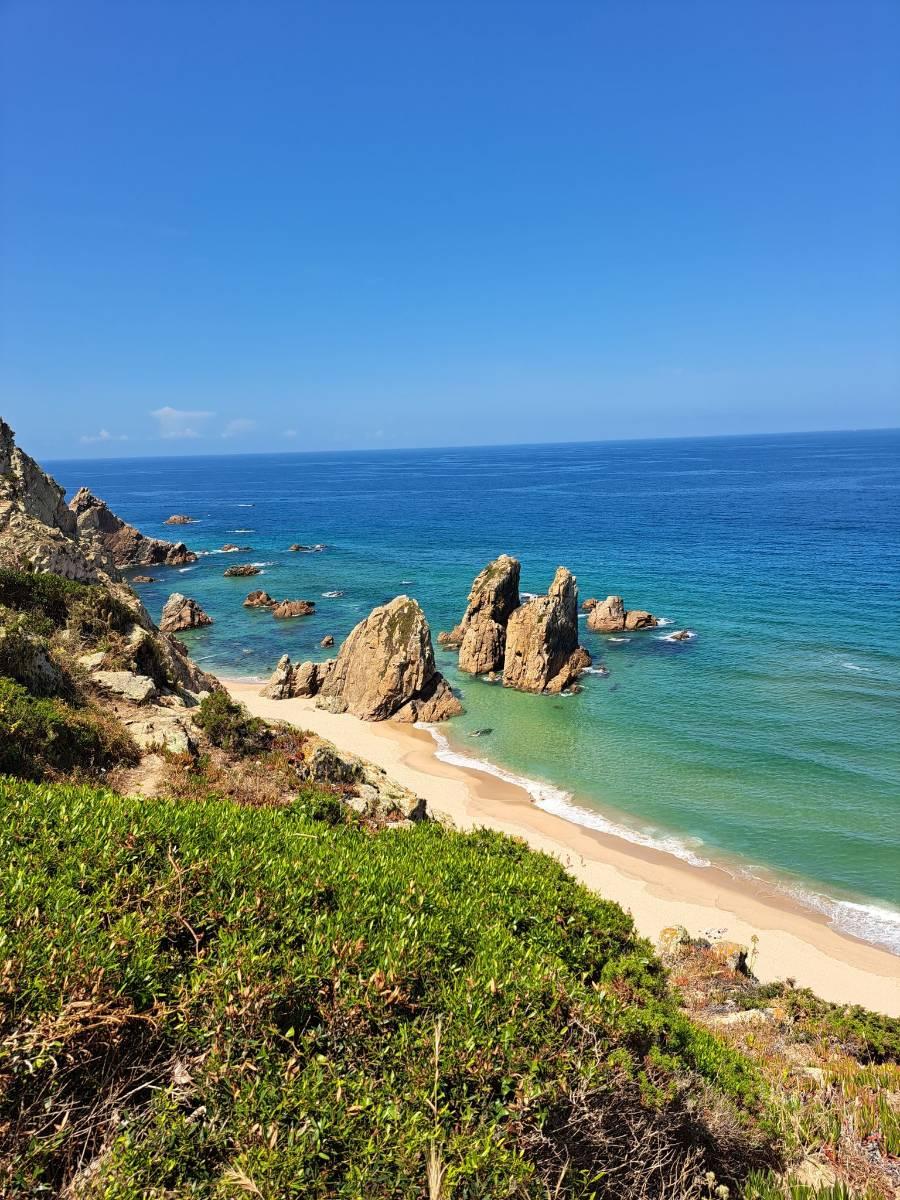 🌿 Step Into Nature: Roca to Praia das Grande