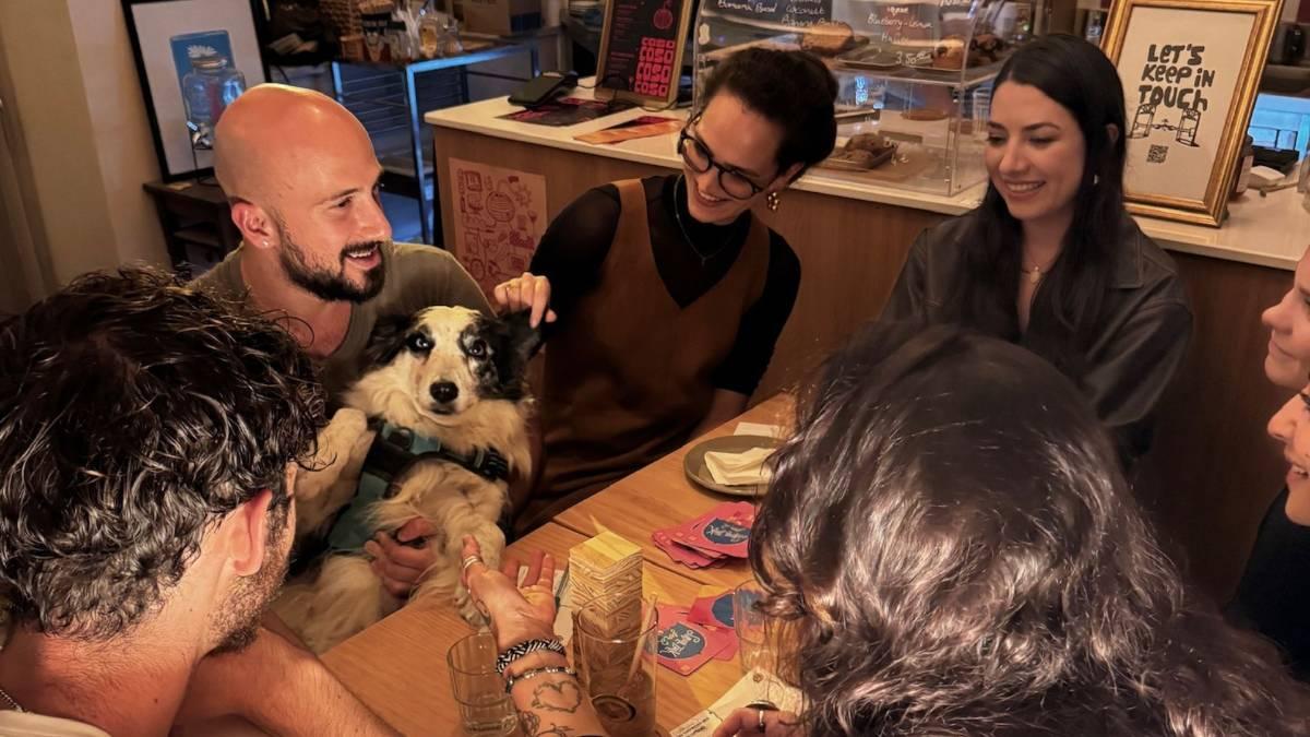 Cozy Christmas Offline Hangout 🎄 | Casa Casa Café