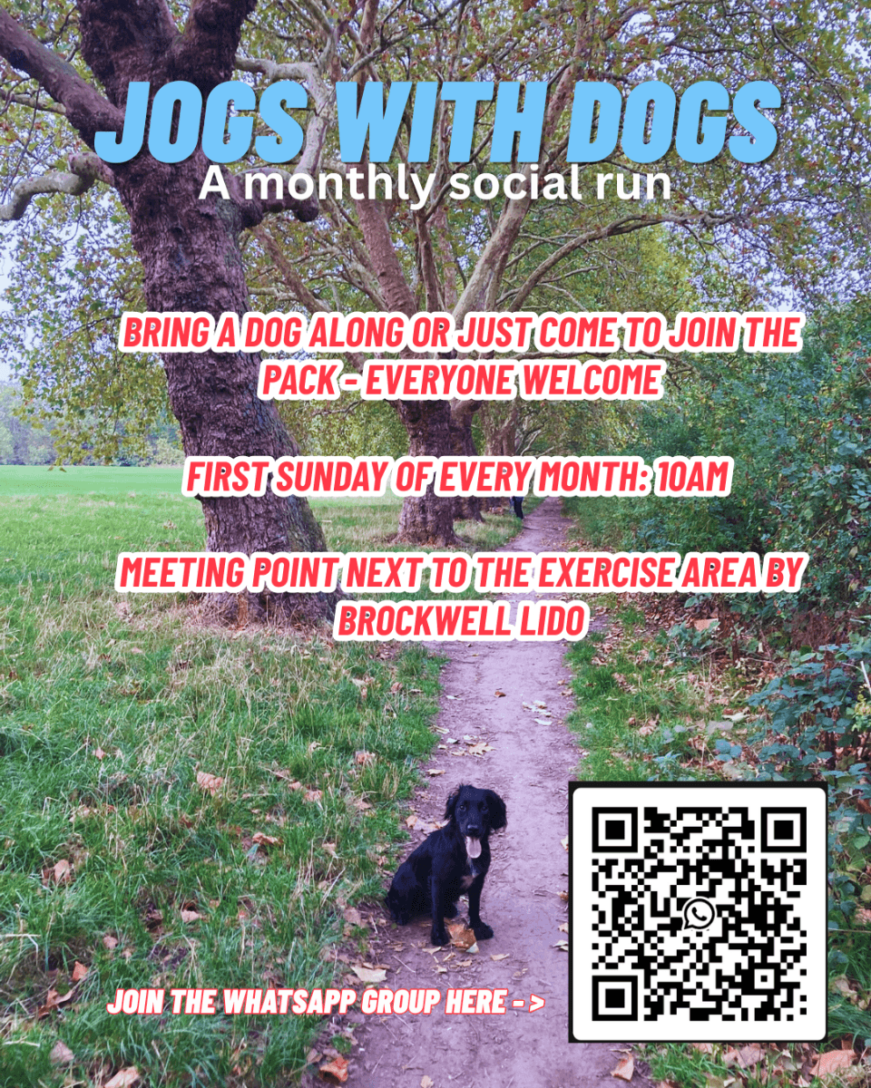 Jogs with Dogs