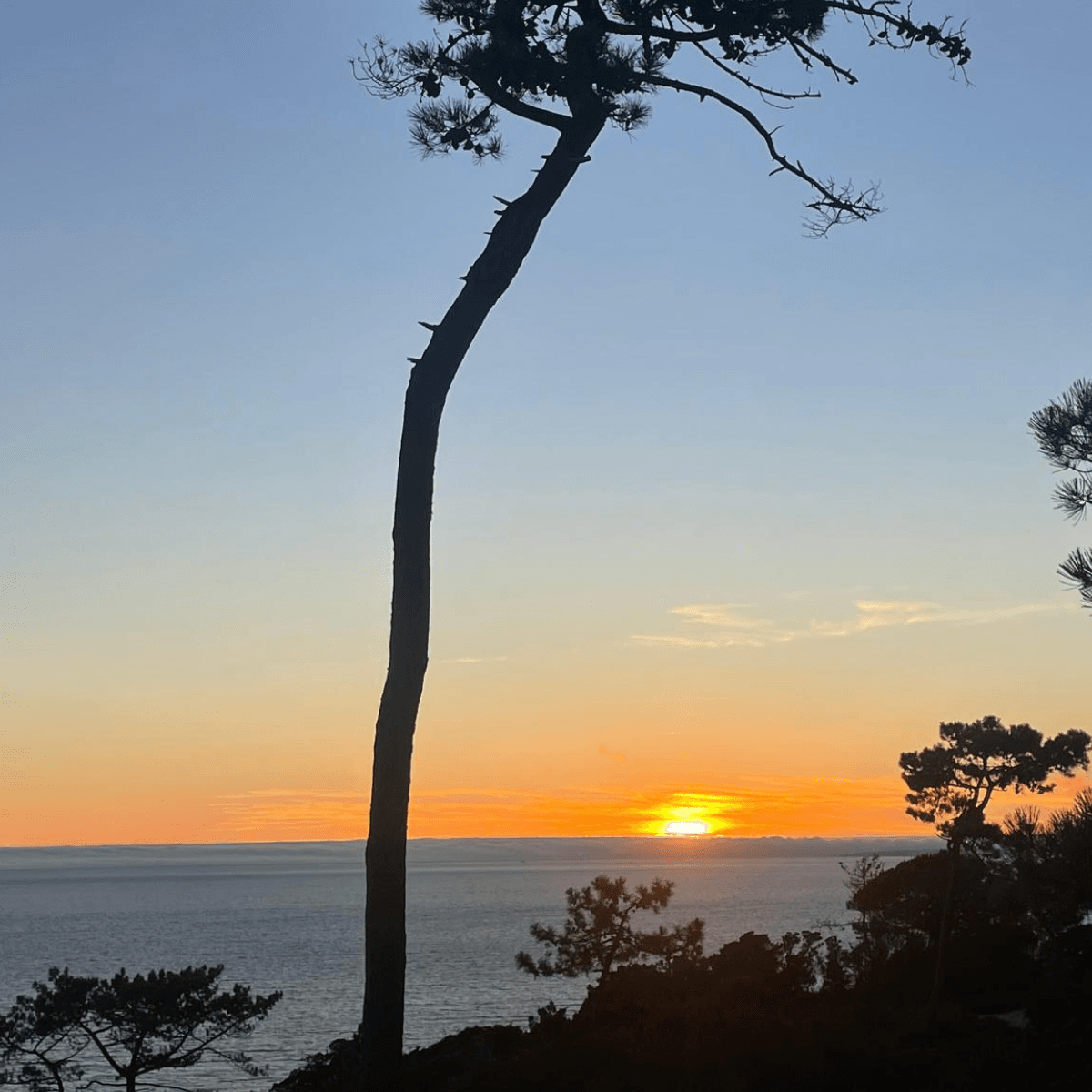 🧘 Sunset Hike & Yoga in nature